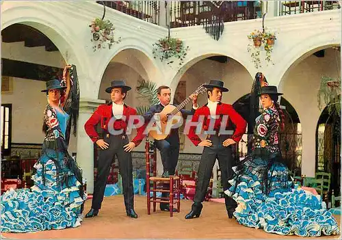 Cartes postales moderne Ballet espanol Los Flamencos en El Relicario