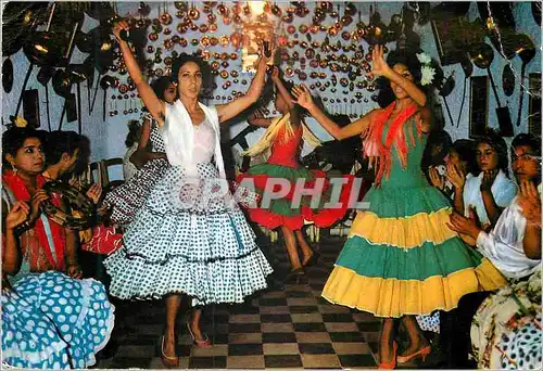 Cartes postales moderne Danzas y Bailes Regionales de Espana Danseurs du Sacromonte