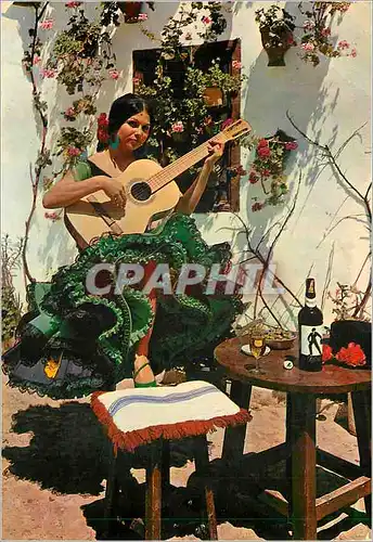 Cartes postales moderne Espana Tipica Image Typique