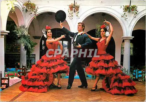 Cartes postales moderne El Relicario Paco de Lucio y su Fiesta Ballet