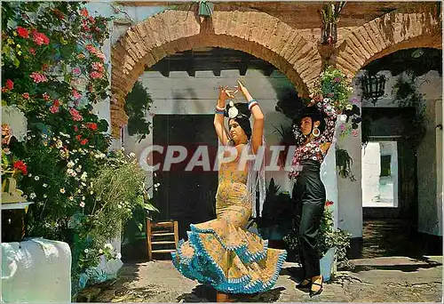 Cartes postales moderne Espana Tipica Image typique