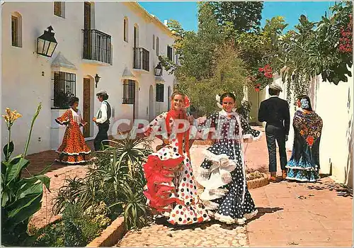 Cartes postales moderne Costa del Sol Scene andalouse typique