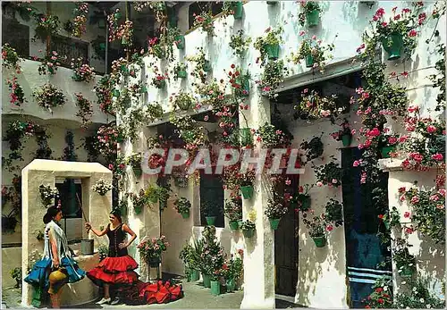 Moderne Karte Espana Tipica Patio Andalou typique