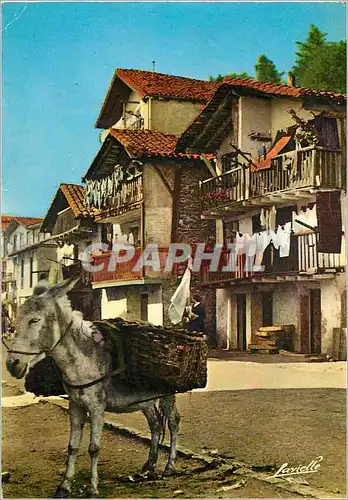 Cartes postales moderne Pays basque Espagnol Quartier typique de Fontarabie Ane Donkey