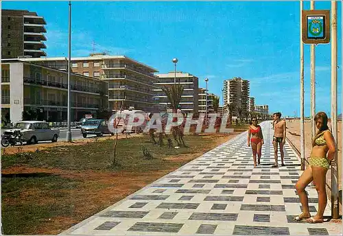 Cartes postales moderne Gandia Valencia Plage Promenade Neptune