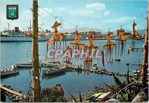 Cartes postales moderne Gandia Vue partielle du port