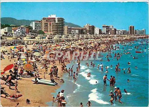 Cartes postales moderne Gandia Plage et Hotel Bayren