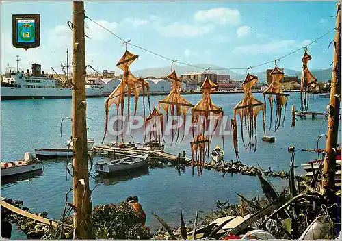 Cartes postales moderne Gandia Vue partielle du port