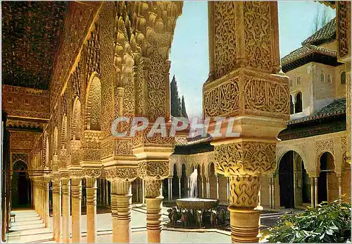 Cartes postales moderne Granada Alhambra Chapiteaux dans la Cour des Lions