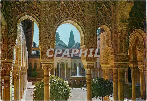 Cartes postales moderne Granada Alhambra Cour des Lions arcades