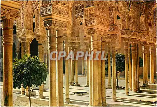 Moderne Karte Granada Alhambra Colonnes Cour des Lions