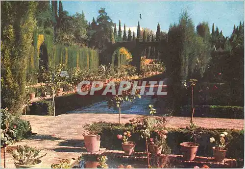 Cartes postales moderne Granada Generalife Jardines nuevos