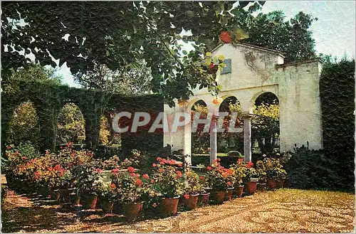 Cartes postales moderne Granada Vue partielle du Jardin du pianiste Francisca Garcia Carrillo