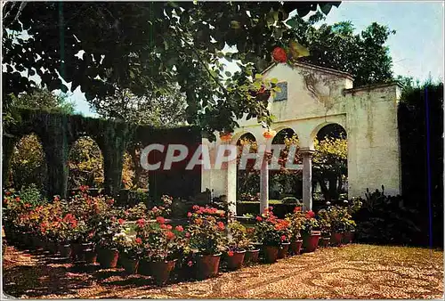 Cartes postales moderne Granada Vue partielle du Jardin du pianiste Francisco Garcia Carrillo