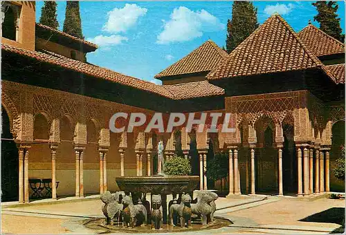 Cartes postales moderne Granada La Alhambra Cour des Lions