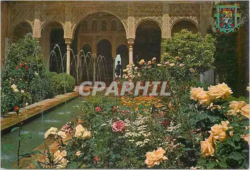 Cartes postales moderne Granada Generalife Cour des Sources