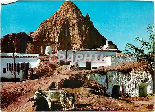 Cartes postales moderne Guadix Vue de Grottes