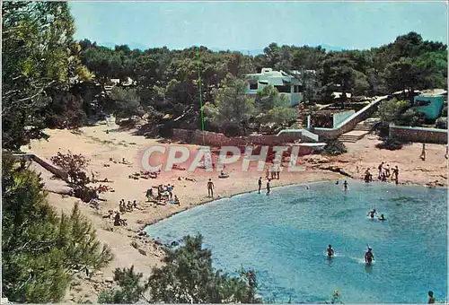 Cartes postales moderne Ibiza Baleares Espana San Antonio Cala Gracia