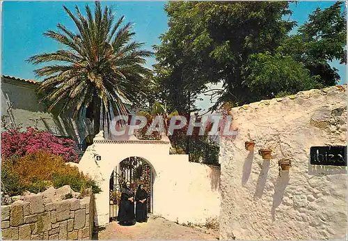 Cartes postales moderne Ibiza Typical Ibiza