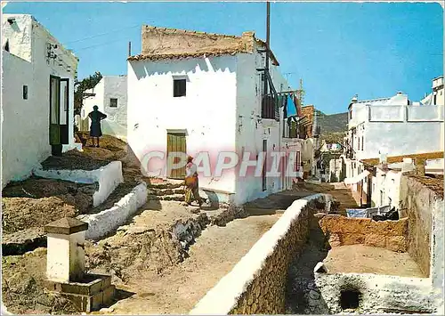 Cartes postales moderne Ibiza Baleares Espana Detail du quartier de la Pena