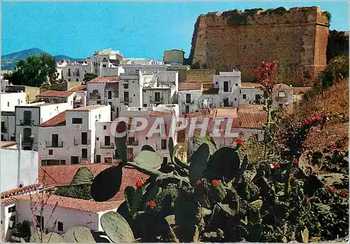 Cartes postales moderne Ibiza Baleares Espana Ciudad Barrio de la Pena