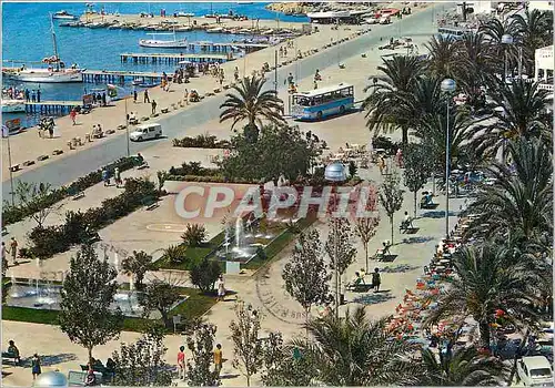 Cartes postales moderne San Antonio Ibiza Espana Promenade des palmieres