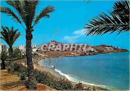 Cartes postales moderne Ibiza Baleares Espana Quartier des Moulins et Plage de Figueretas