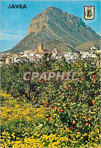 Cartes postales moderne Javea Alicante La peuple et les oranges