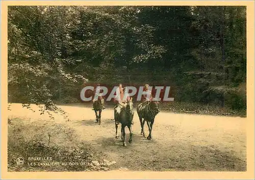 Cartes postales moderne Bruxelles Les Cavaliers au bois Chevaux