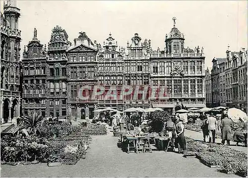 Moderne Karte Bruxelles Grand Place