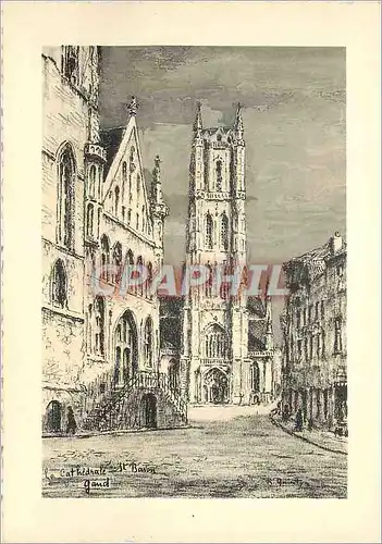 Moderne Karte Gand La Cathedrale St Bavon