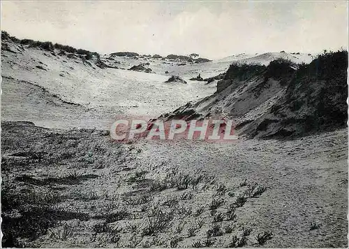 Cartes postales moderne Et la dune aride sauvage et rude