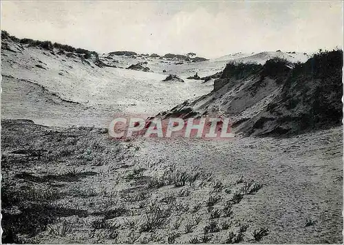 Moderne Karte Et la dune aride sauvage et rude