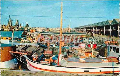 Cartes postales moderne Anvers Le Port Bateaux
