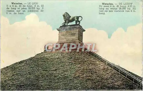 Cartes postales moderne Waterloo Le Lion