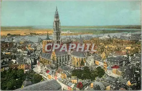 Cartes postales moderne Anvers Panorama Cathedrale et Coude d'Austruweel