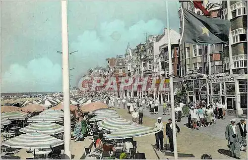 Cartes postales moderne La Panne La Digue