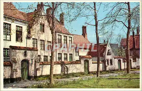 Cartes postales moderne Bruges Un coin du Beguinage