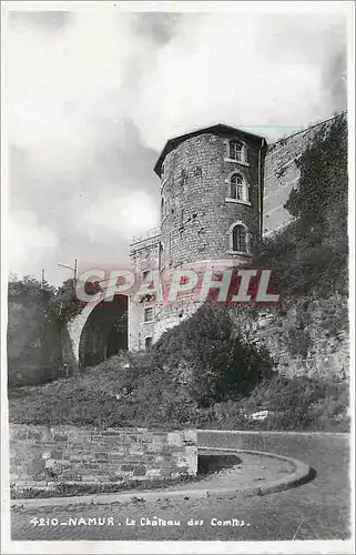 Cartes postales moderne Namur La Chateau