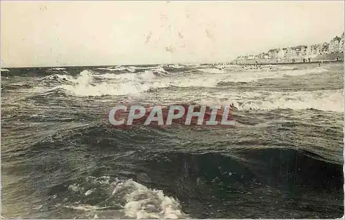 Cartes postales moderne Knokke Zoute La mer