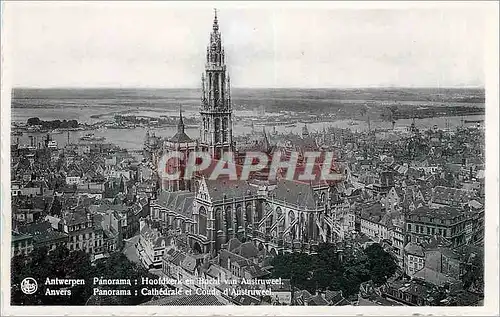 Cartes postales moderne Anvers Panorama Cathedrale et Coude d'Austruweel