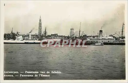 Cartes postales moderne Anvers Panorama de l'Escaut Bateaux