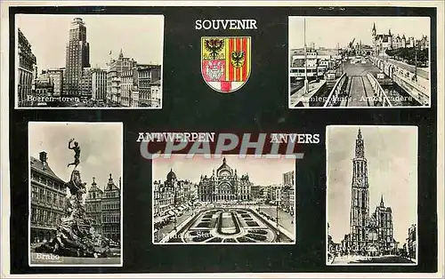 Cartes postales moderne Souvenir Anvers