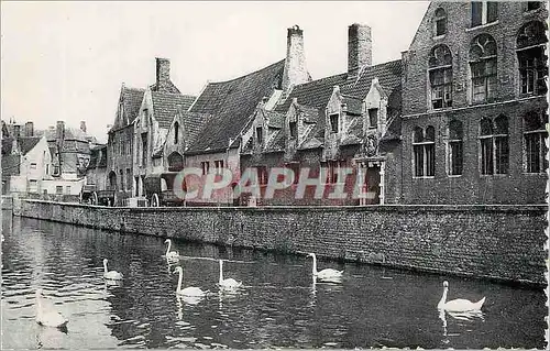 Cartes postales moderne Bruges Quai Vert Maison du Pelican