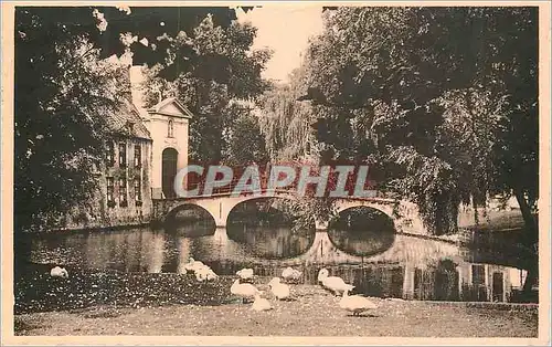 Cartes postales moderne Bruges Entree du Beguinage