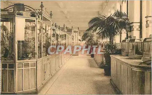 Cartes postales moderne Anvers Jardin Zoologique Galerie des reptiles Terraria