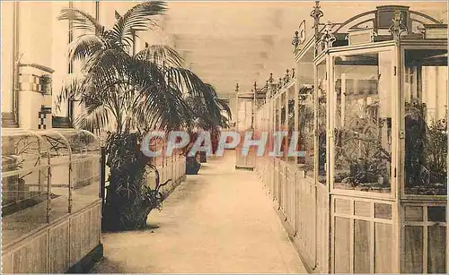 Moderne Karte Anvers Jardin Zoologique Galerie des reptiles Cages des Serpents venimeux