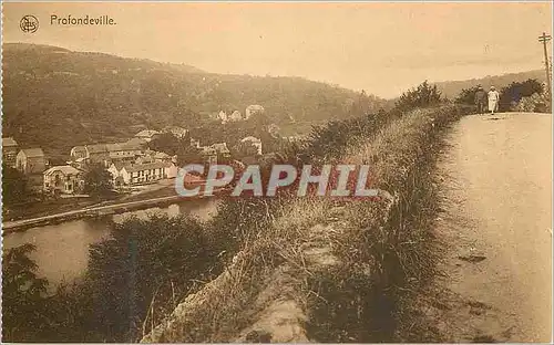 Moderne Karte Profondeville Vues choisies de la Valle de la Meuse