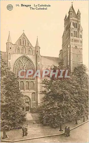 Cartes postales moderne Bruges La Cathedrale