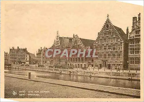 Cartes postales moderne Gand Quai aux Herbes